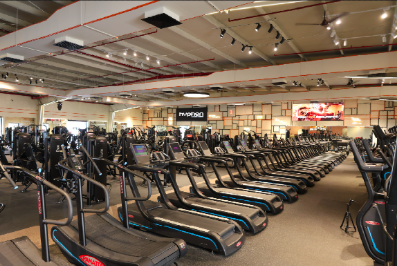 Gym Interior - Cardio Equipment